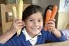 Asda to revolutionise carrot market
