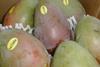 mangos.jpg