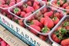 Hugh Lowe berries