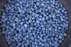 Image of freshly harvested blueberries