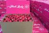 Pink Lady - Hansen Orchards
