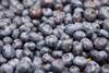 Blaubeeren_lose.jpg