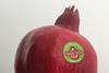 PomLife SPC pomegranate