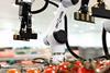 Wootzano's fresh produce packing robotic system