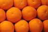 Die ersten chilenischen Orangen sind in China eingtroffen.