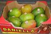 Daniella mangoes from Splendid Produce