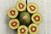 Oscar Red kiwifruit