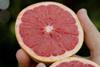 SummerStar Ruby grapefruits in hand South Africa