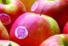 Pink Lady growth defies downturn