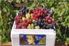 Pretty Lady Grapes