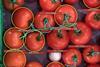 Clarifruit tomatoes