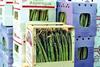 Peru asparagus