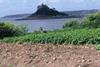 Potato industry on alert as new blight strain reaches UK