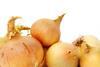 Generic onions