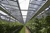 Agri-Photovoltaik