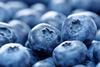 Blueberries will be a key crop for Rwanda Berries