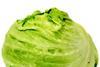 iceberg lettuce