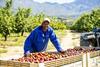 South Africa continues to innovate with its production practices