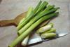 Leek leeks onion allium generic