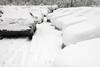snow