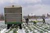 Red diesel clearance to fight cold snap 'good news'