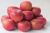ZA Aztec Fuji apple Stargrow