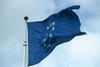 Europa_Flagge_Europäische_Kommission__1__05.jpg