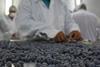 Peru blueberries
