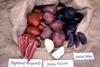 Solanum and Waitrose onto World Cup winner