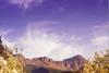 Capespan results paint a bright picture