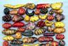 The project hopes to protect more than 4,000 varieties