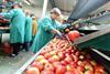 Poland apples copyright European Parliament AFP J Skarzynski