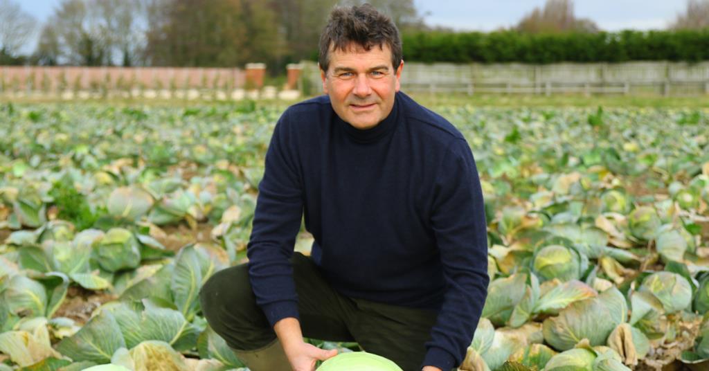 Naylor Farms unveils €38m brassica plan Article