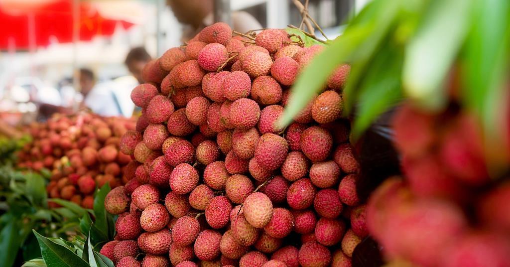 Bella Fruitiva sees UK lychee potential | News | Fruitnet