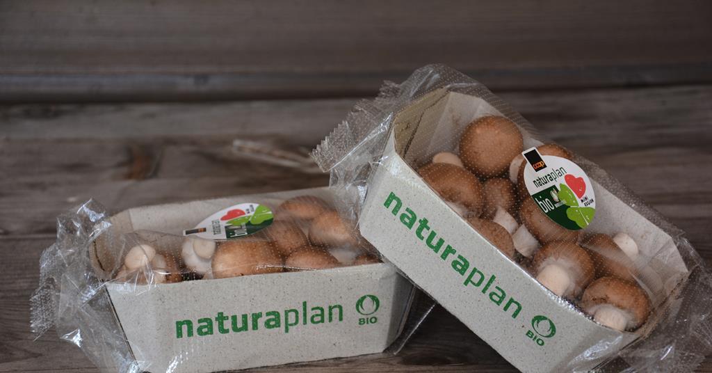 Der Umwelt zuliebe - Neue Verpackung bei Schweizer Bio-Champignons ...