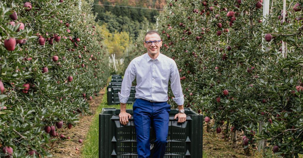 Europe's latest apple forecast ‘too high’ Article