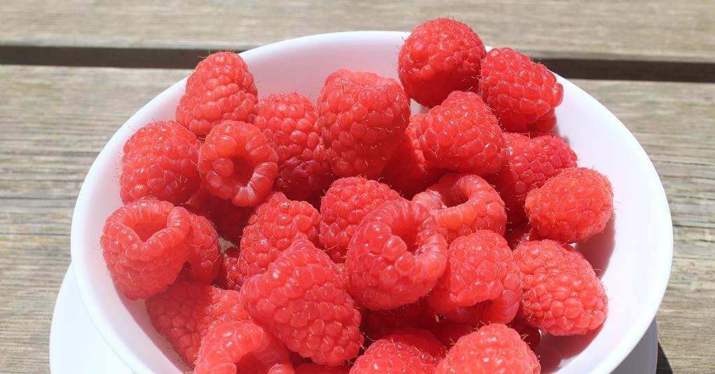 The Summer Berry Company scoops two Superior Taste Awards - Vimarsana News