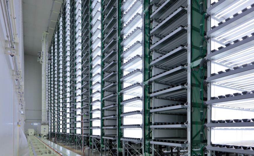 Spread's partner J Leaf opens vertical farm Article