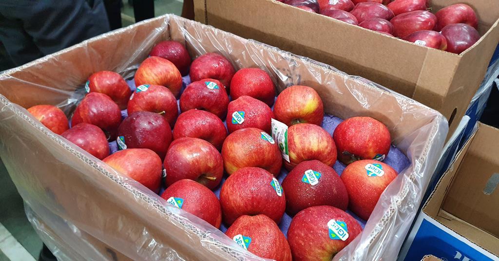 NH apple suppliers eye India gains amid Turkey shortage
