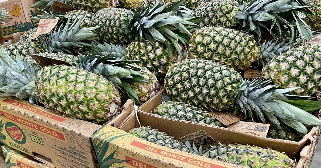 Del Monte enjoys “continued momentum” in Q1 | News | Fruitnet