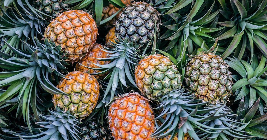 indonesian-pineapples-gain-access-to-china