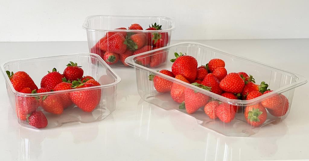 New berry packs do away with bubble pads | News | Fruitnet