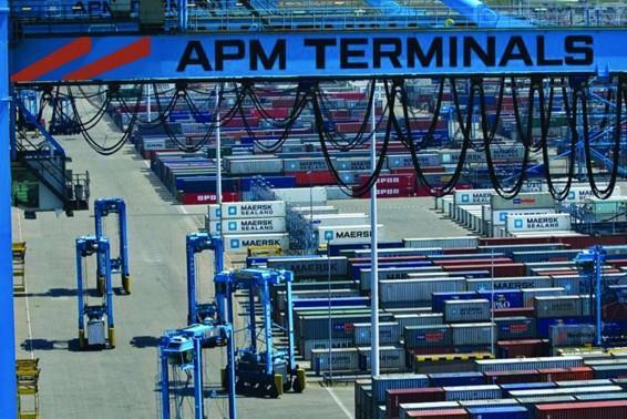 Moin container terminal faces further delays Article Fruitnet