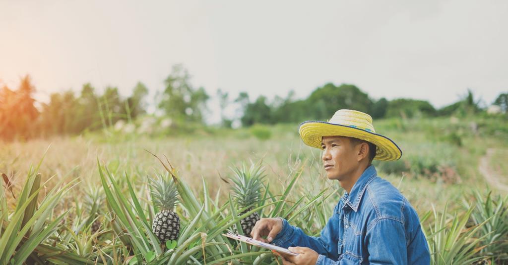 Dole signals Philippines investment Article