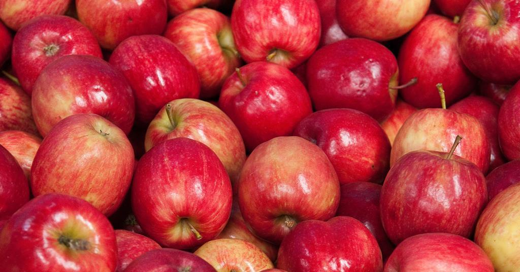 Growing supply of Envy apples annually