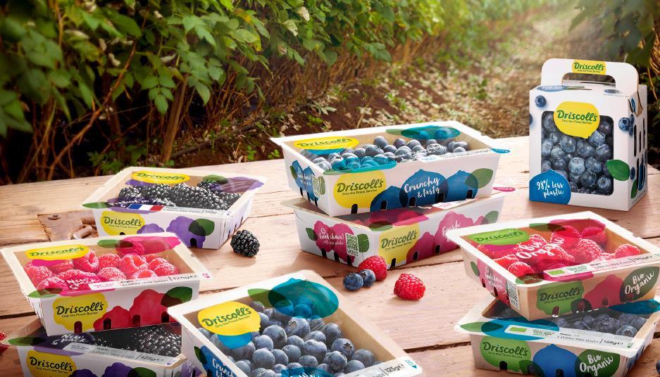 Driscoll’s reaches new retailers with branded paper pack | Article ...