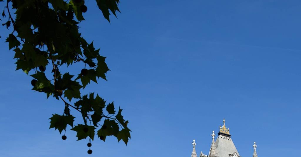 Early start for traditional strawberry season Article