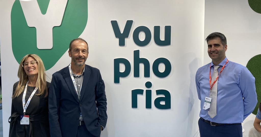 Size matters as Greek kiwifruit exporters select markets News