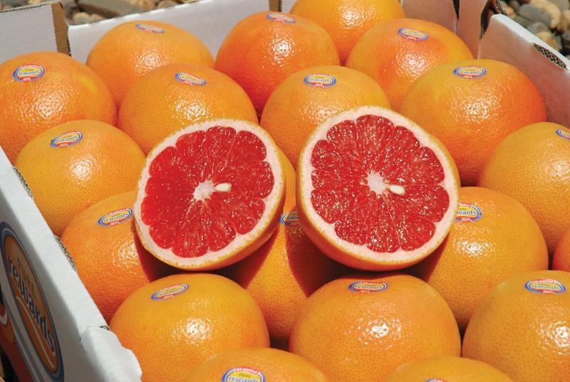 Australian grapefruit heads for Japan Article