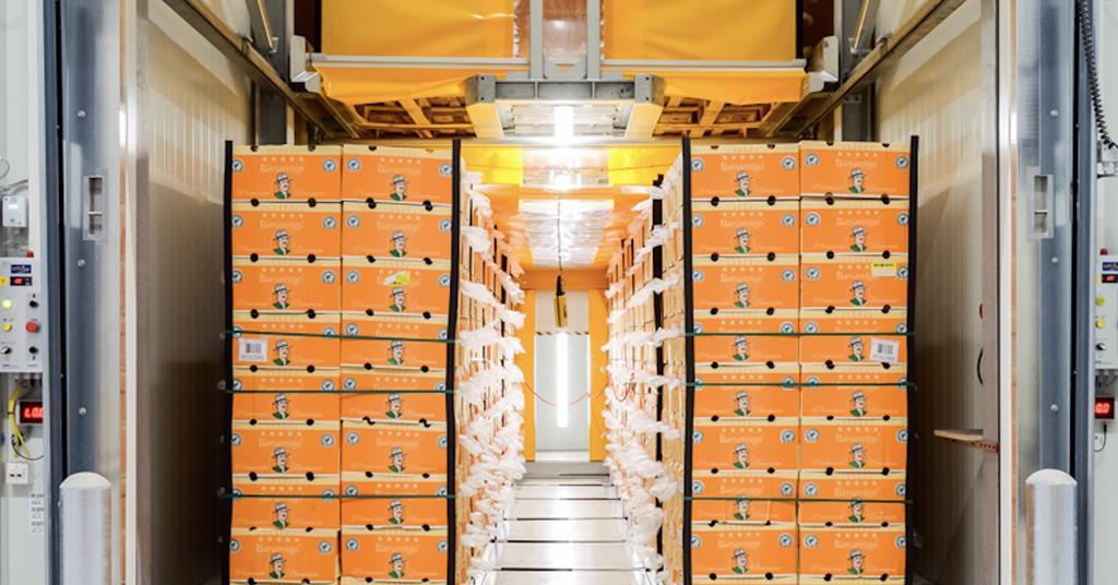 Star Ripe Produce Transit Ripening System Softripe: The future of fruit ripening – perfect produce for the global ...